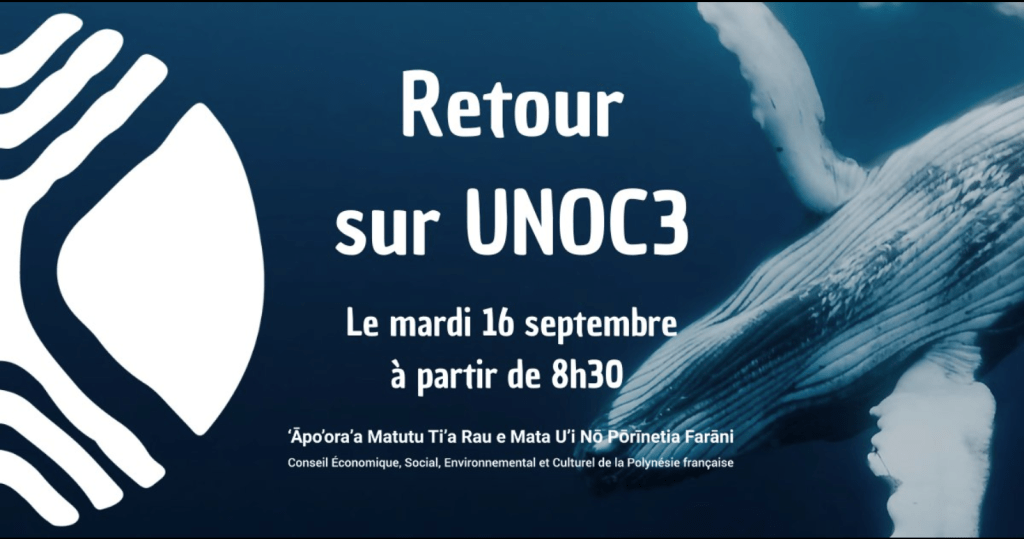 Retour UNOC 3