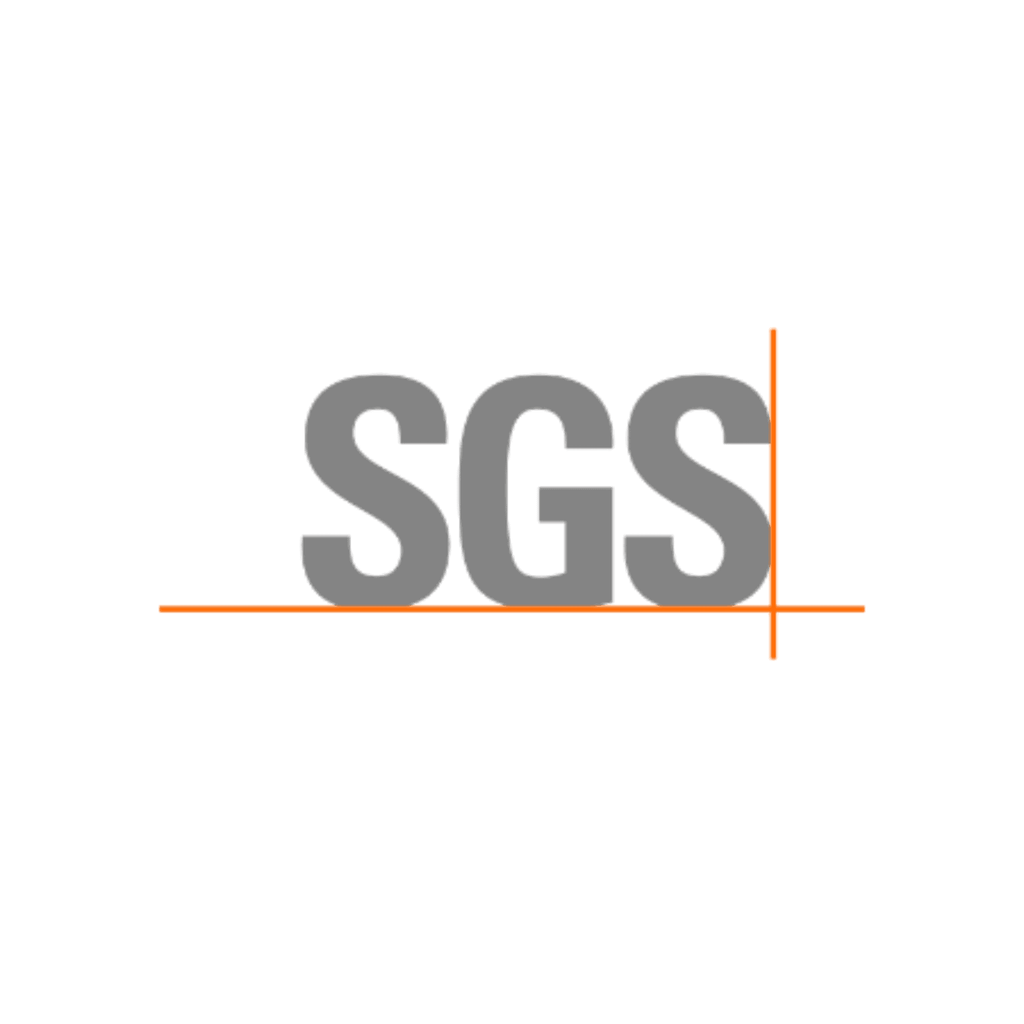 Raina Engineers logo with SGS certification mark for quality assurance.