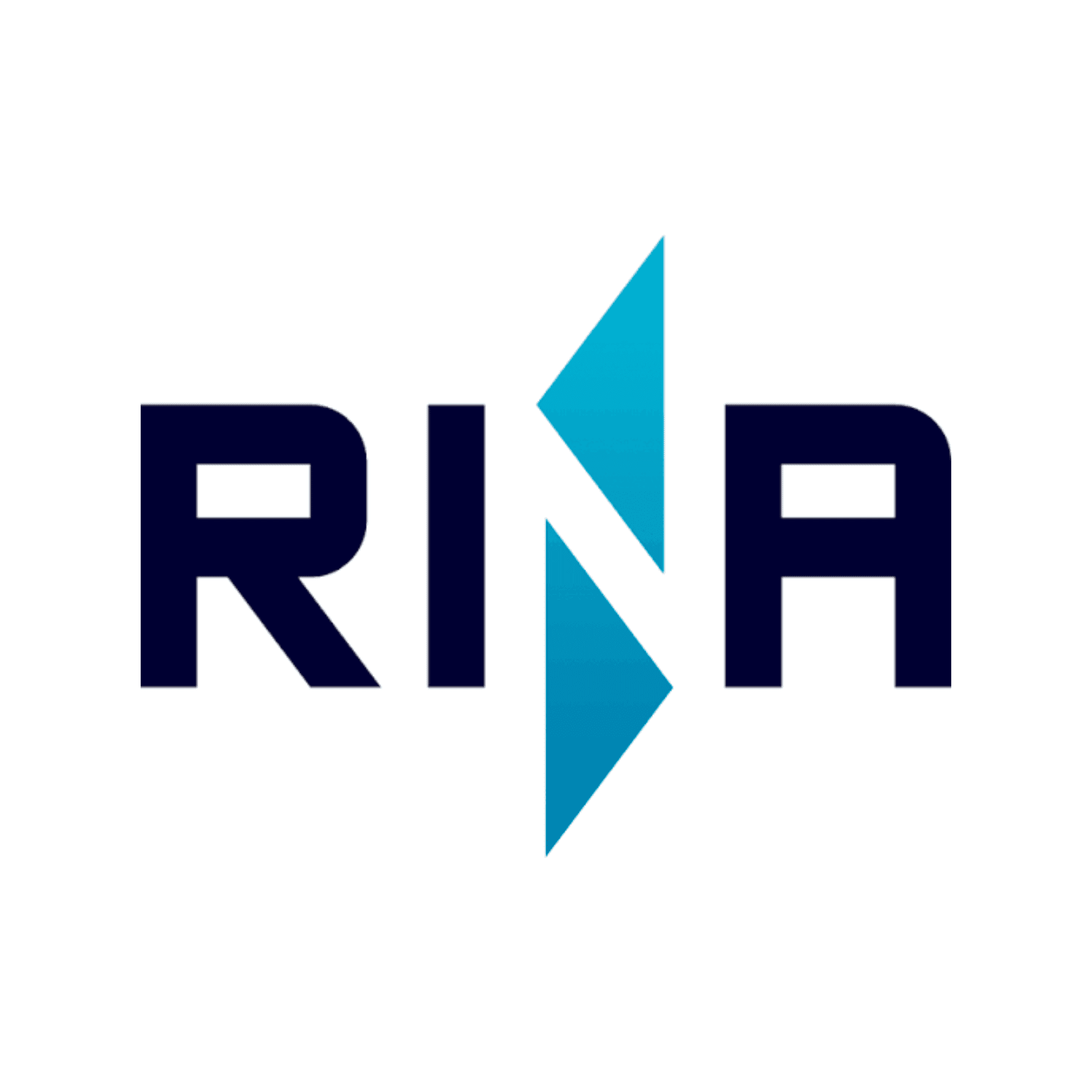Raina Engineers logo with blue and black design elements.