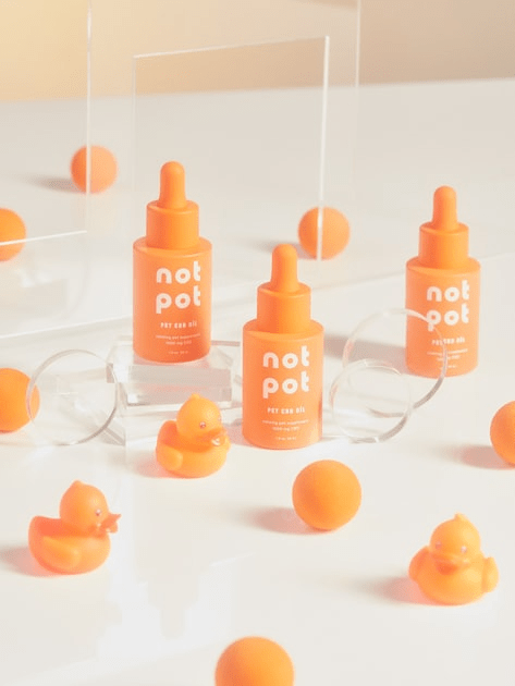 Choosing Dog Memorial Gifts