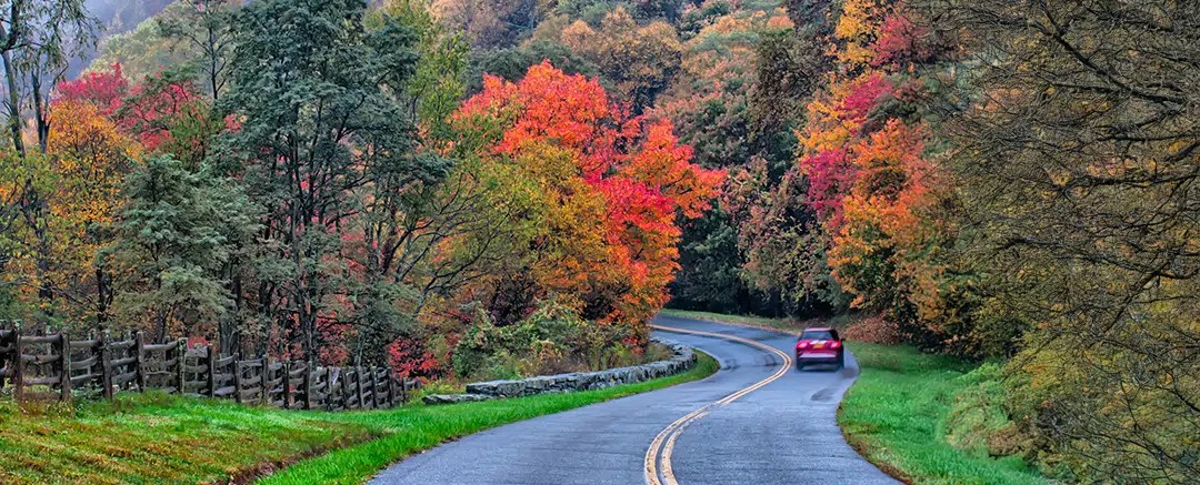Road Trip To See Fall Leaves 60 Photos Com RAI Blog Header Leaf Peeping Road Trips 
