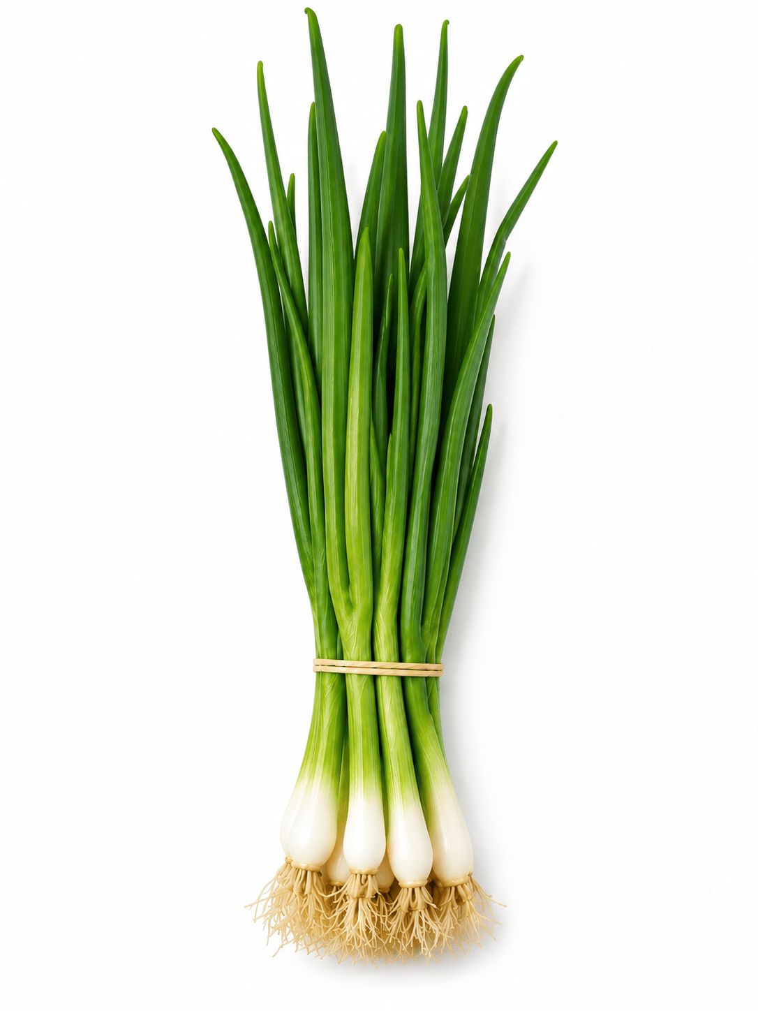 Organic Spring Onions 250g