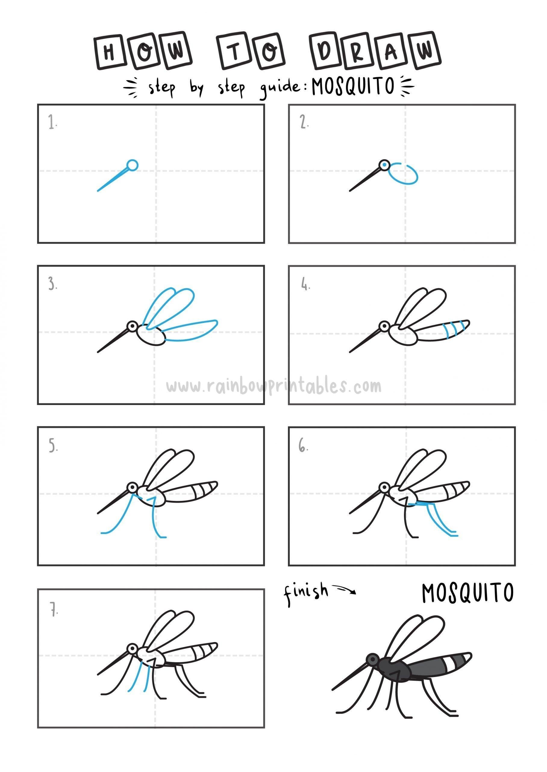 Insect Drawing Easy / How To Draw A Stick Insect Ham08wallpaper