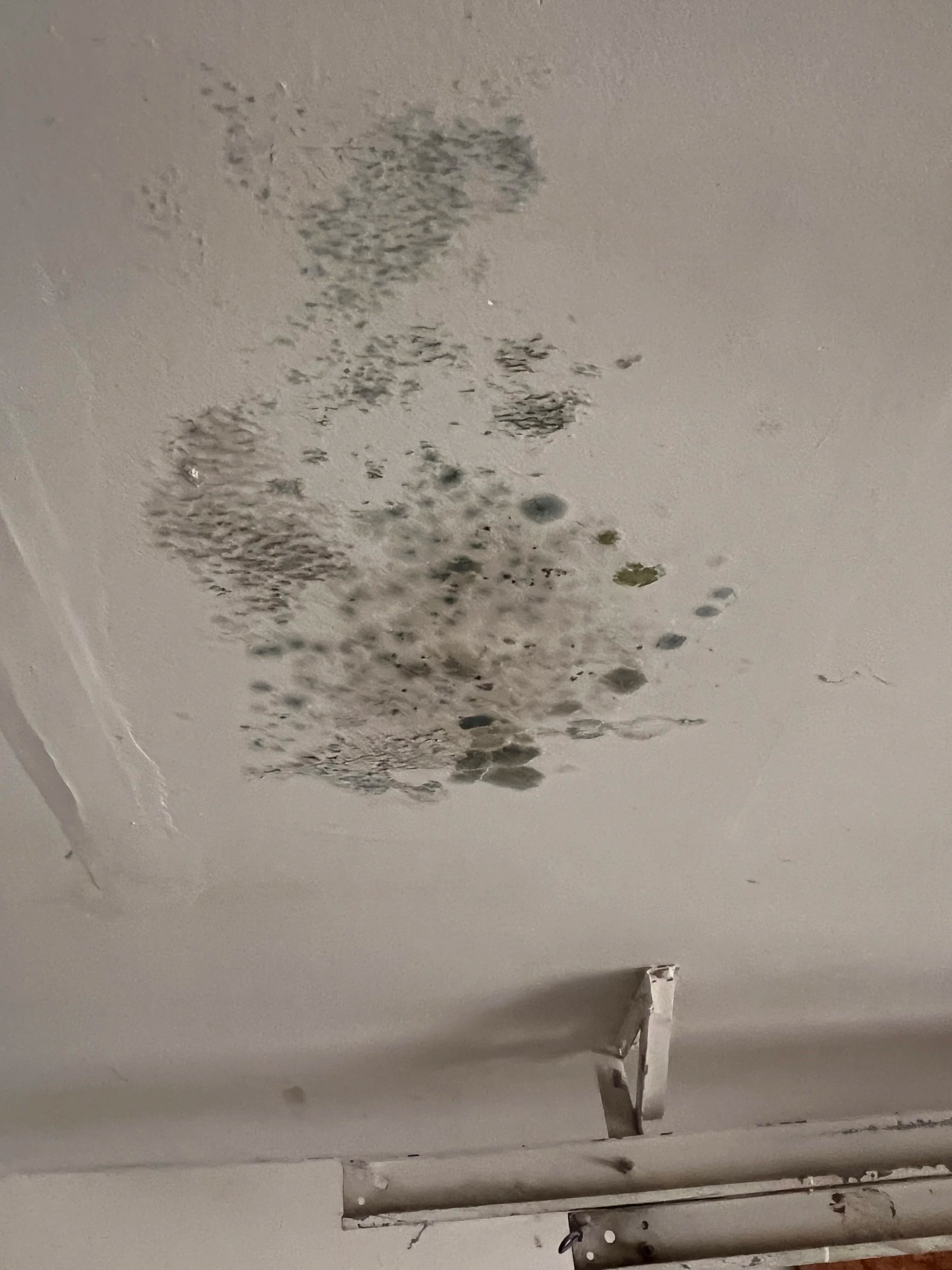 mold on ceiling