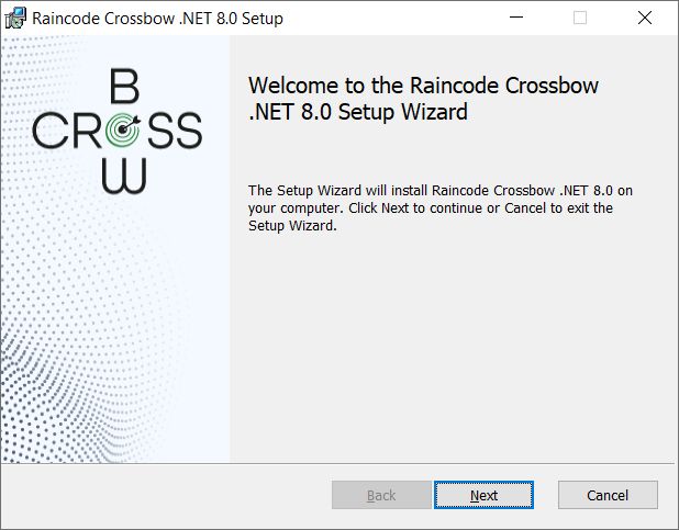 Raincode Crossbow Installation Guide Windows - Ultra HD Geometric Texture - HD