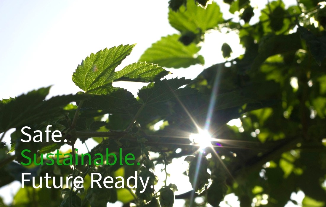 Stay ahead with raine