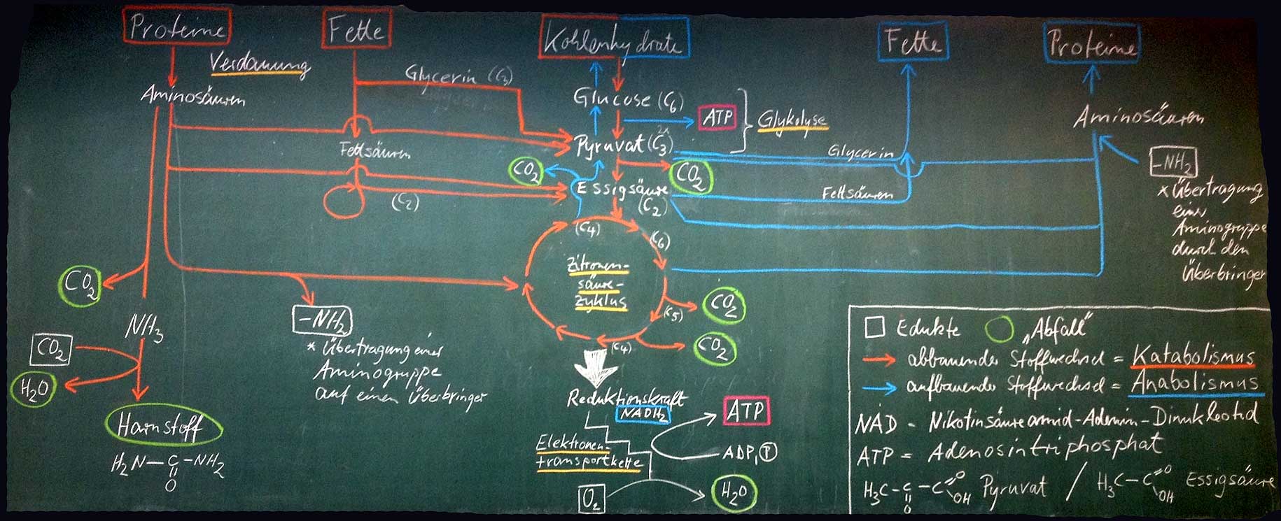 Wir haben 4 immobilien zur miete in vonovia lübeck ab 380 € für dich gefunden. Biologie & Chemie