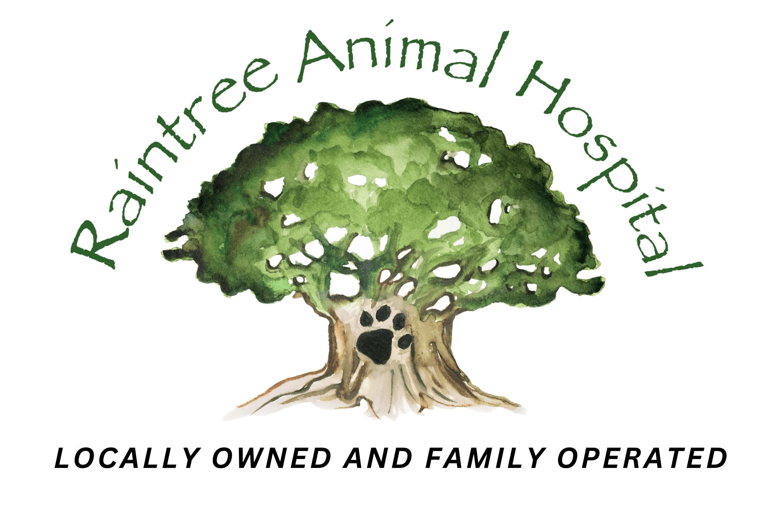 Raintree animal hospital timnath