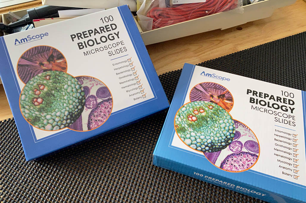 PreparedSlides_8450D