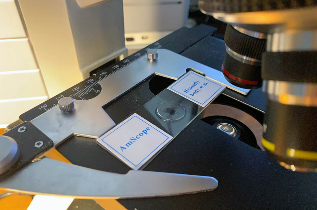 PreparedSlides_8557D