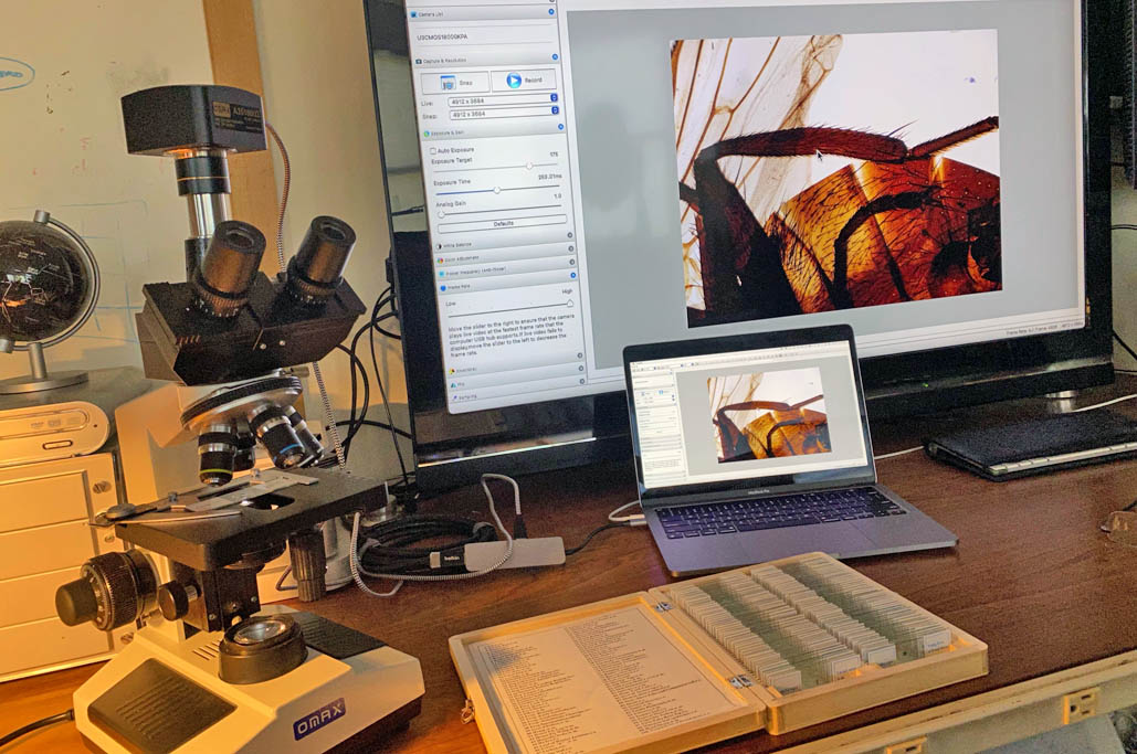 PreparedSlides_8561D