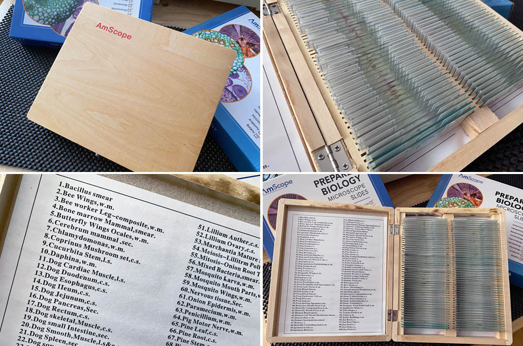 PreparedSlides_AmScope