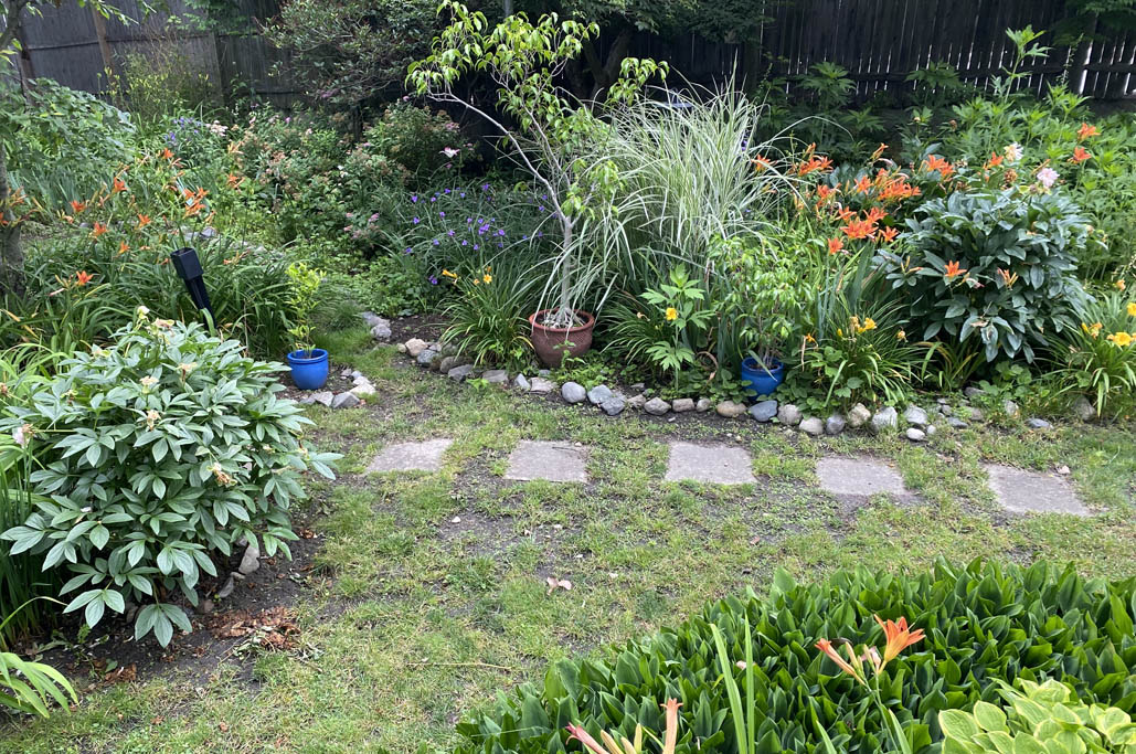 CloverUpdate_MiscWeek02_0158