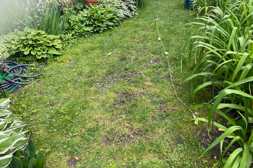 CloverUpdate_SideWeek03_9914