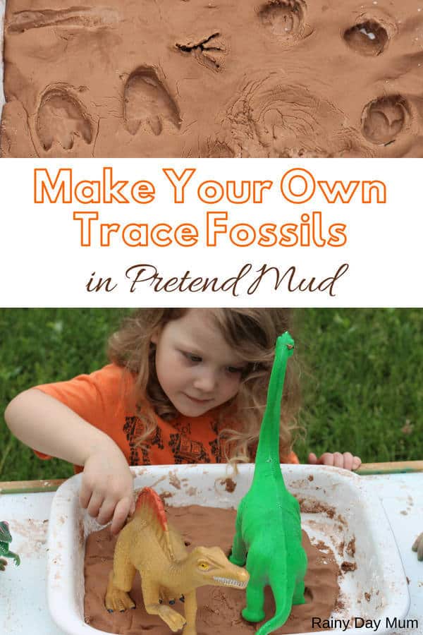 The chemicals or raw materials that exist before the reaction are called. Exploring Fossils With Kids Making Trace Fossils In Pretend Mud