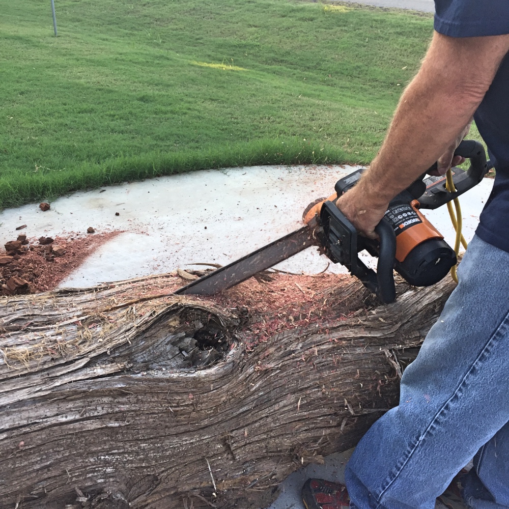 thelog2_rainydayreflections