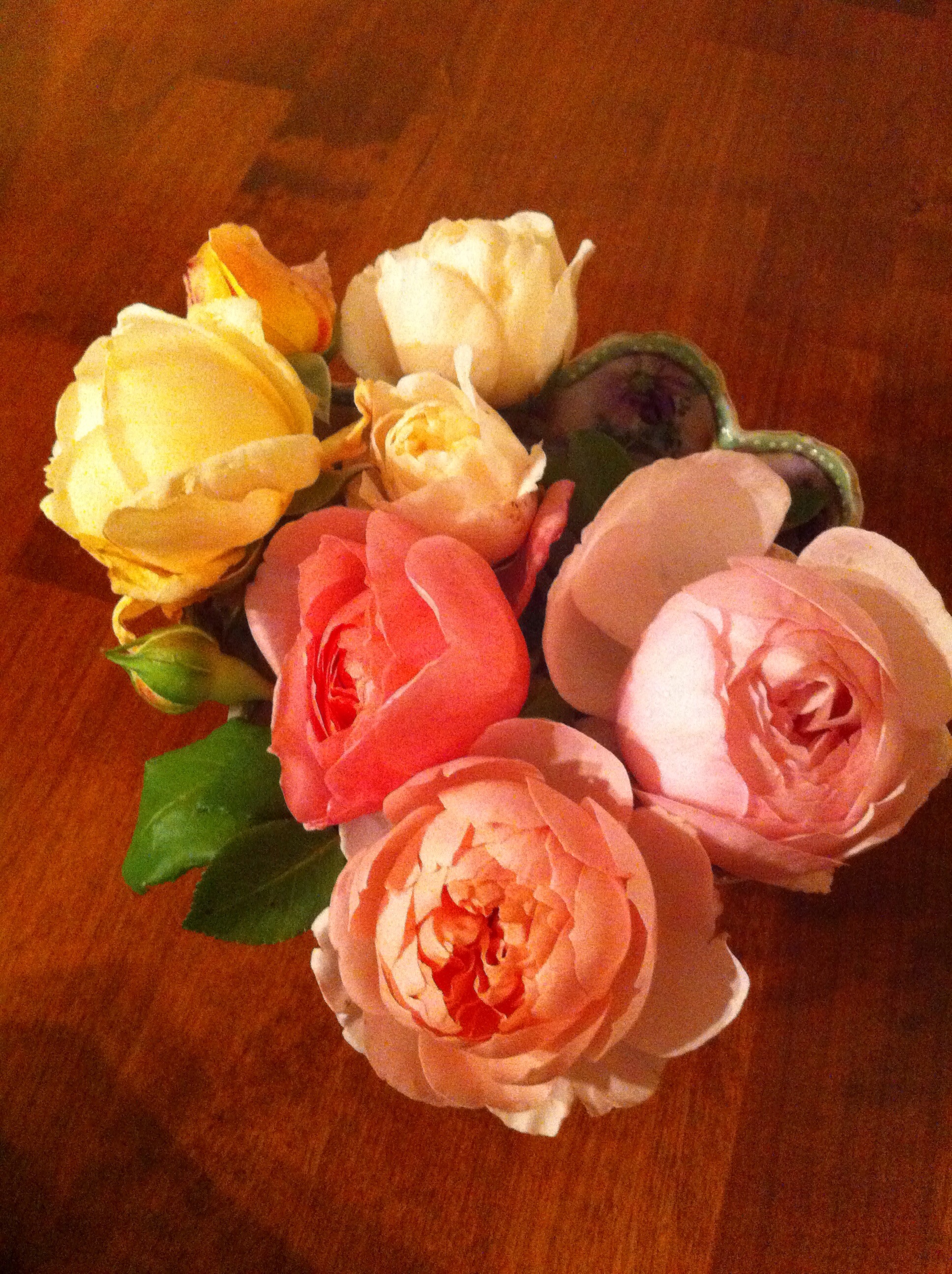 David Austin roses....heaven!