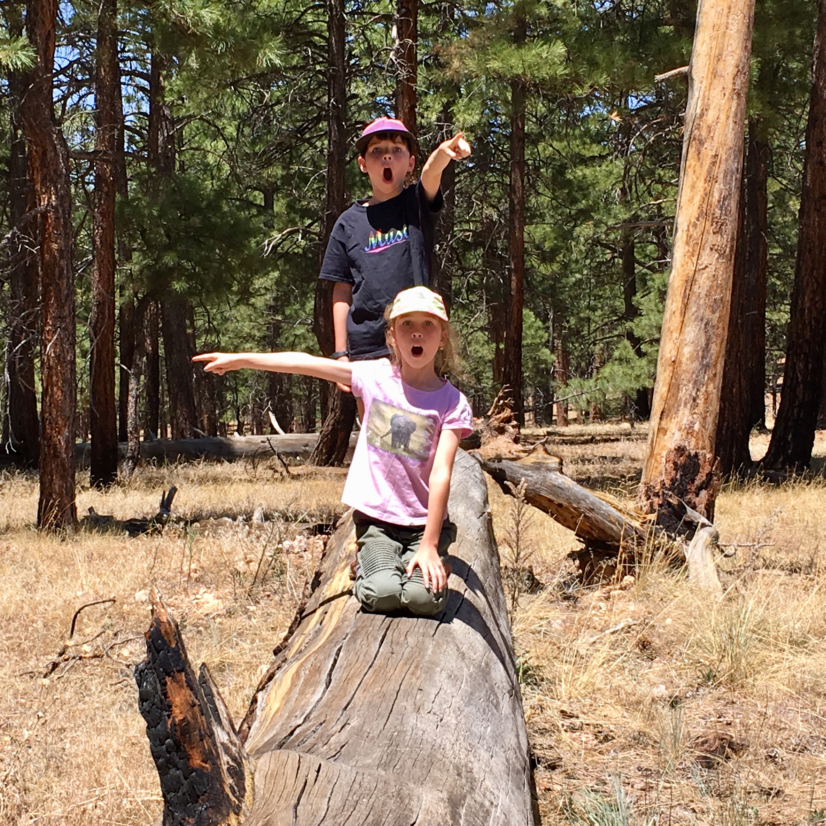 CDD7C902-7CD5-490A-8F4E-C72B719EFEAF