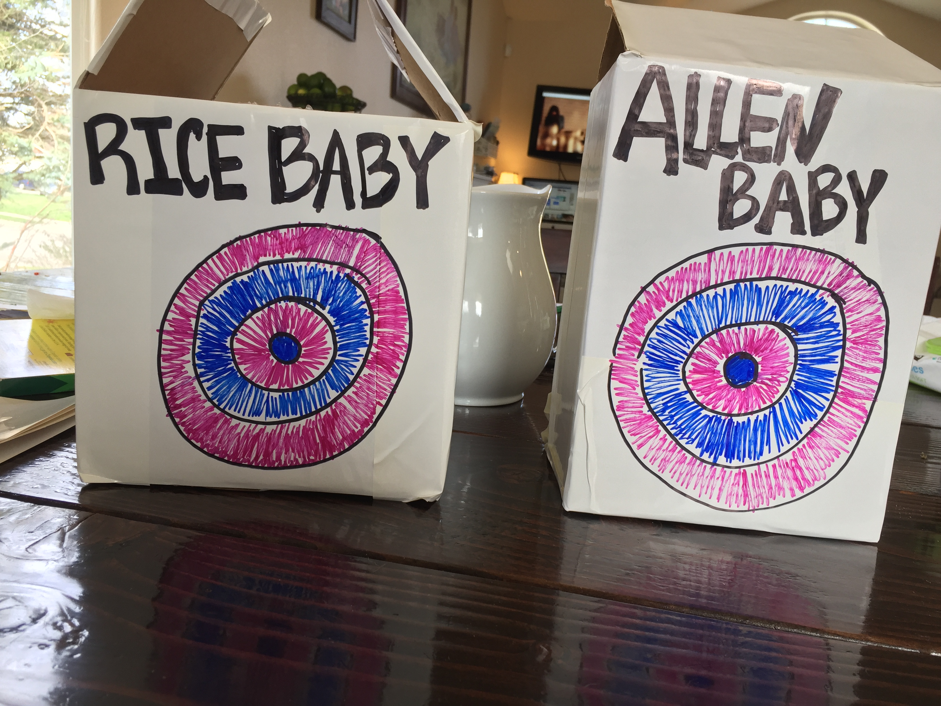 My sister in law was pregnant at the same time, so we were able to do the reveal together :)