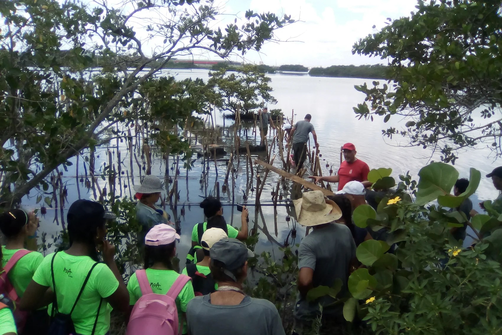 ¿Quién defiende a las especies amenazadas de Cuba?