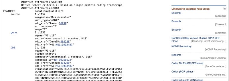 Exploring Dna Sequencing And Analysis Python Case Studies - Premium Light Picture Gallery - Desktop
