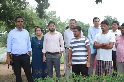 Chilli and Palm Oil Farming