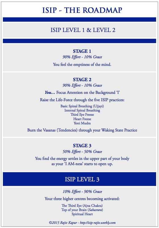 ISIP roadmap - Rajiv Kapur
