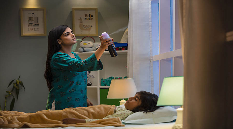 বাড়ছে ডেঙ্গু, জানুন মশার উপদ্রব থেকে বাঁচার উপায়