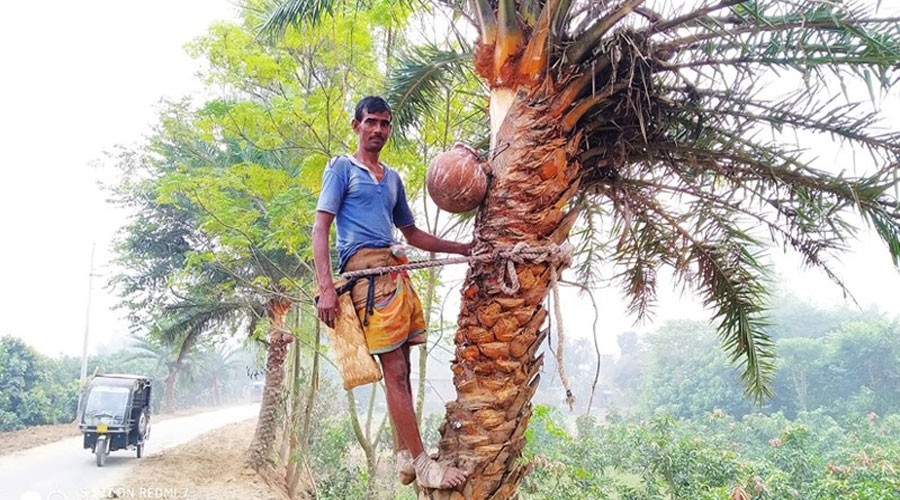 যে কারণে কাঁচা খেজুরের রস হতে পারে মৃত্যুর কারণ