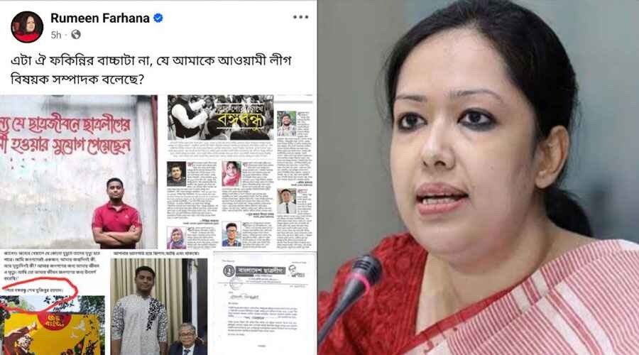 হাসনাত আব্দুল্লাহকে ‘ফকিন্নির বাচ্চা’ বললেন রুমিন ফারহানা