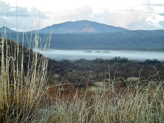 A HOPEFUL NEW YEAR, WINTER IN THE SAN PEDRO VALLEY, AND AN ARTIST’S VIVID EXPRESSION OF THE RIVER