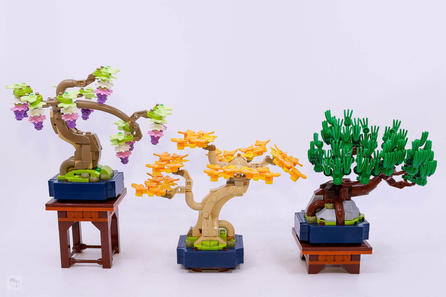 Exploring LEGO 10373 Mini Bonsai Trees