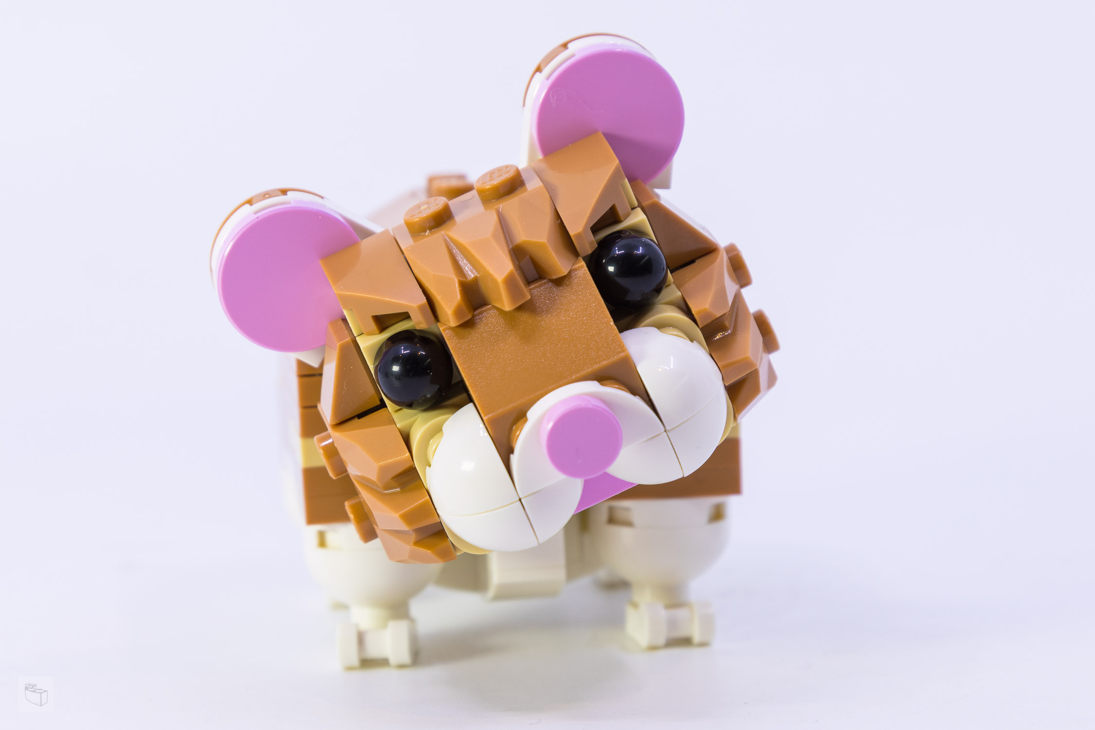 LEGO Creator 3in1 31376: Cute Hamster with Flower Set Review