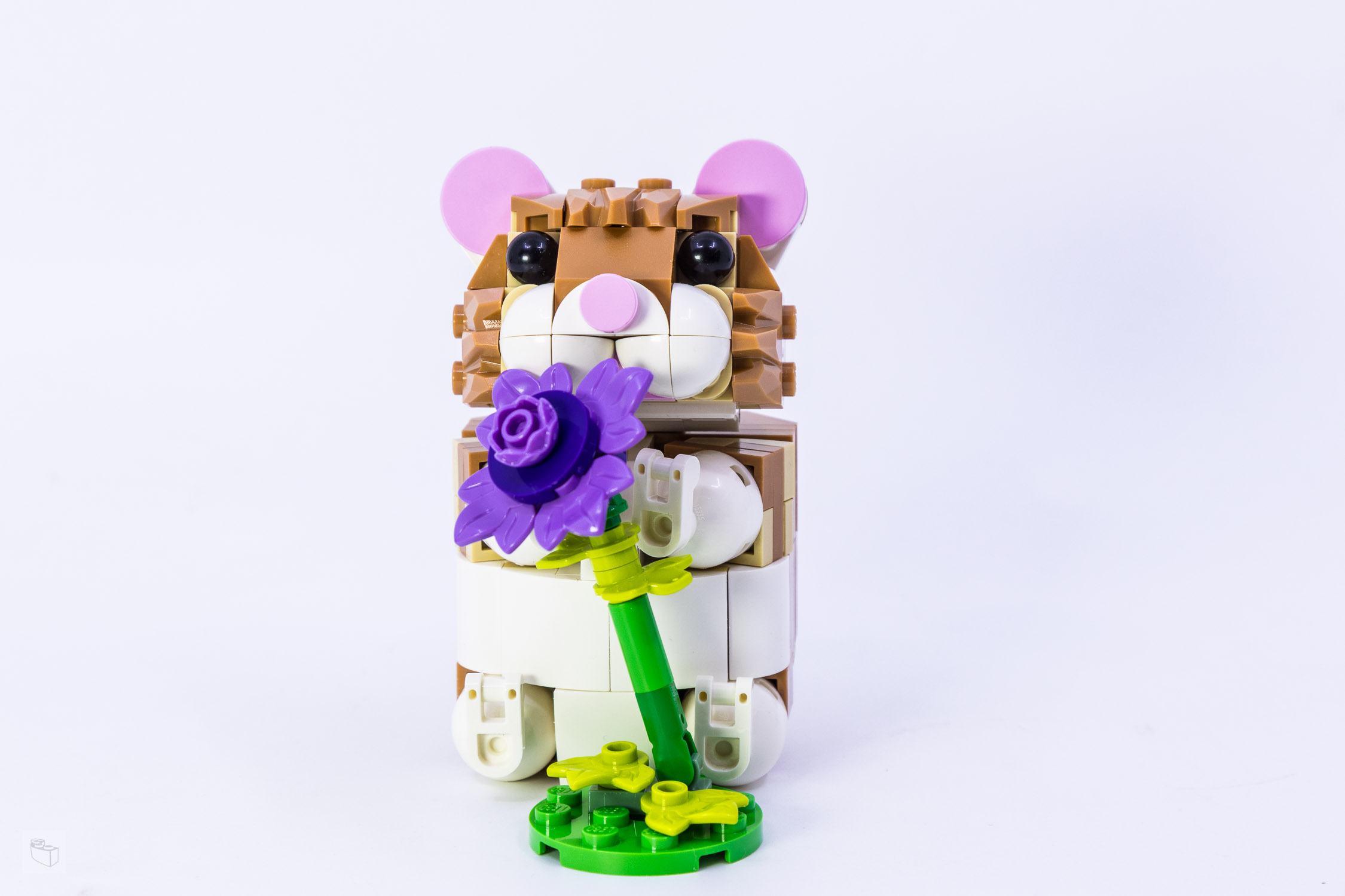 LEGO Creator 3in1 31376: Cute Hamster with Flower Set Review