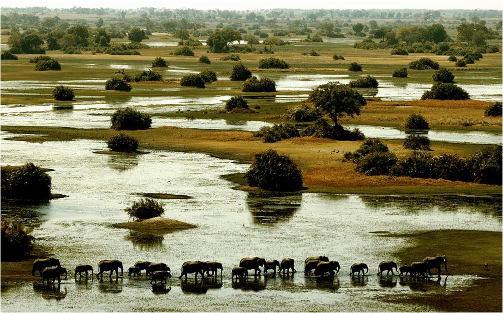 Okavango Delta The Xarana And Mombo Camps Ramona Singer