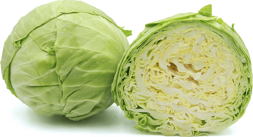 Cabbage Green