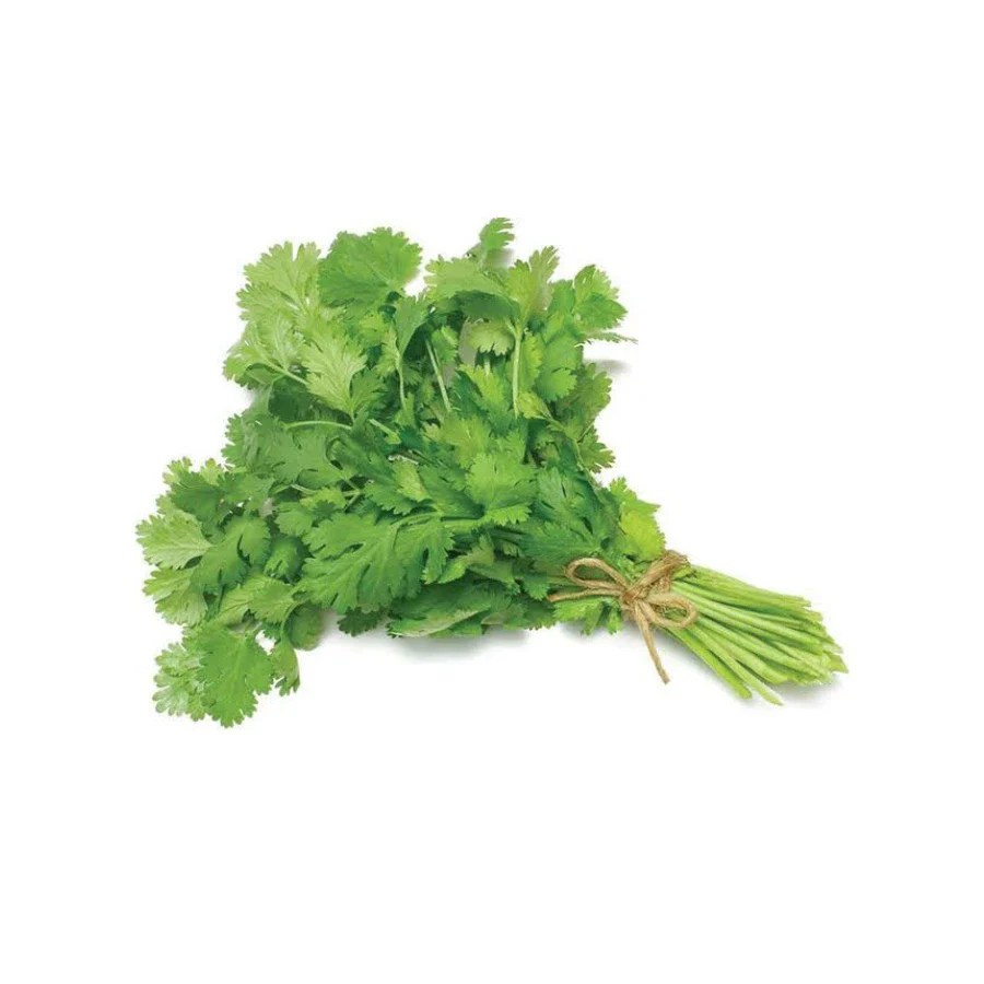 Coriander
