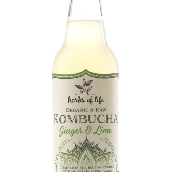 Kombucha Lime & Ginger 330ml/12 – Box