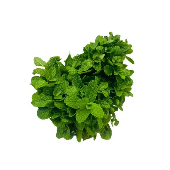 Mint bch Coolibah Salads