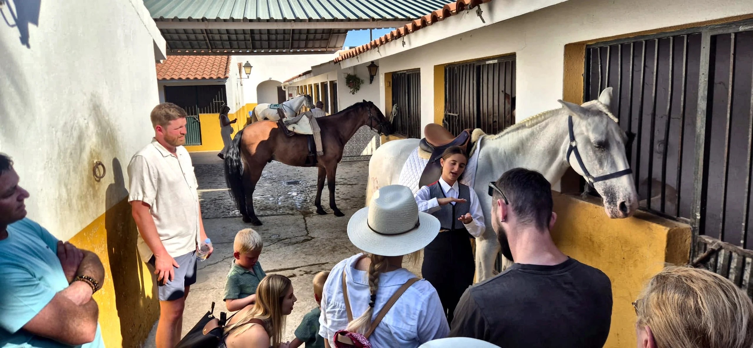 Tour guided to the stables