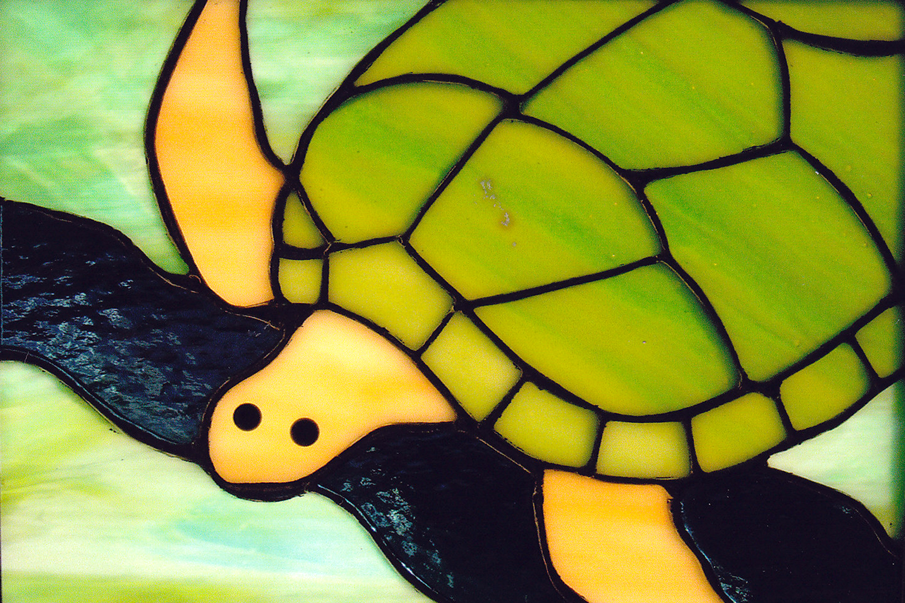 Stained Glass Sea Turtle