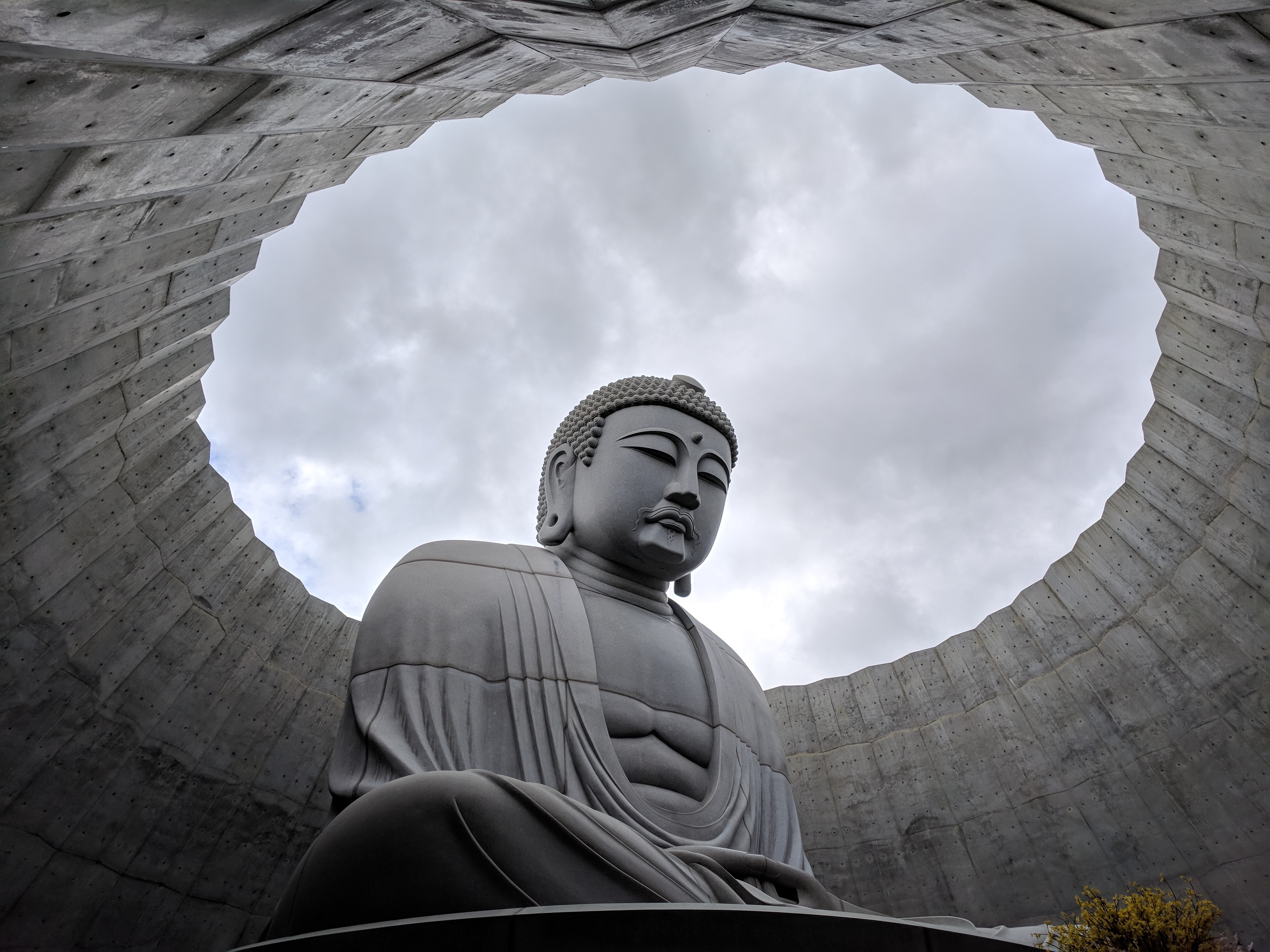 Sapporo, Japan: a giant Buddha statue wrapped in a Lavender Hill
