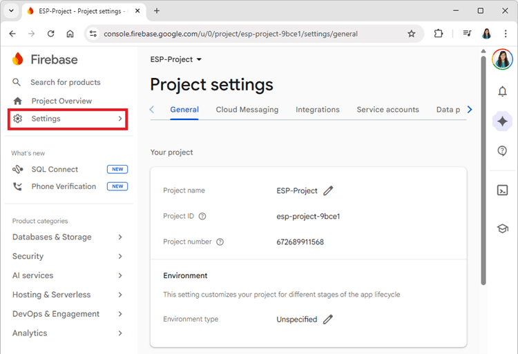 Firebase Realtime Database Project Settings