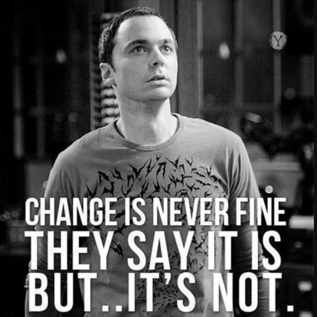 Sheldon copper from Big bang looking sad to embrace change ad it has a quote saying that change is never fine, they say it is but its not.