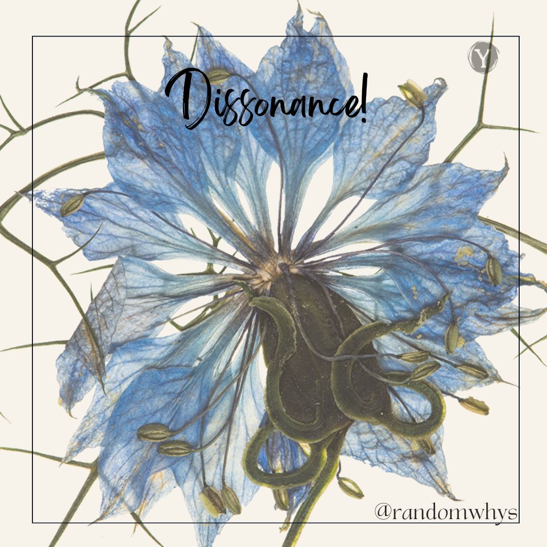 Dissonance!