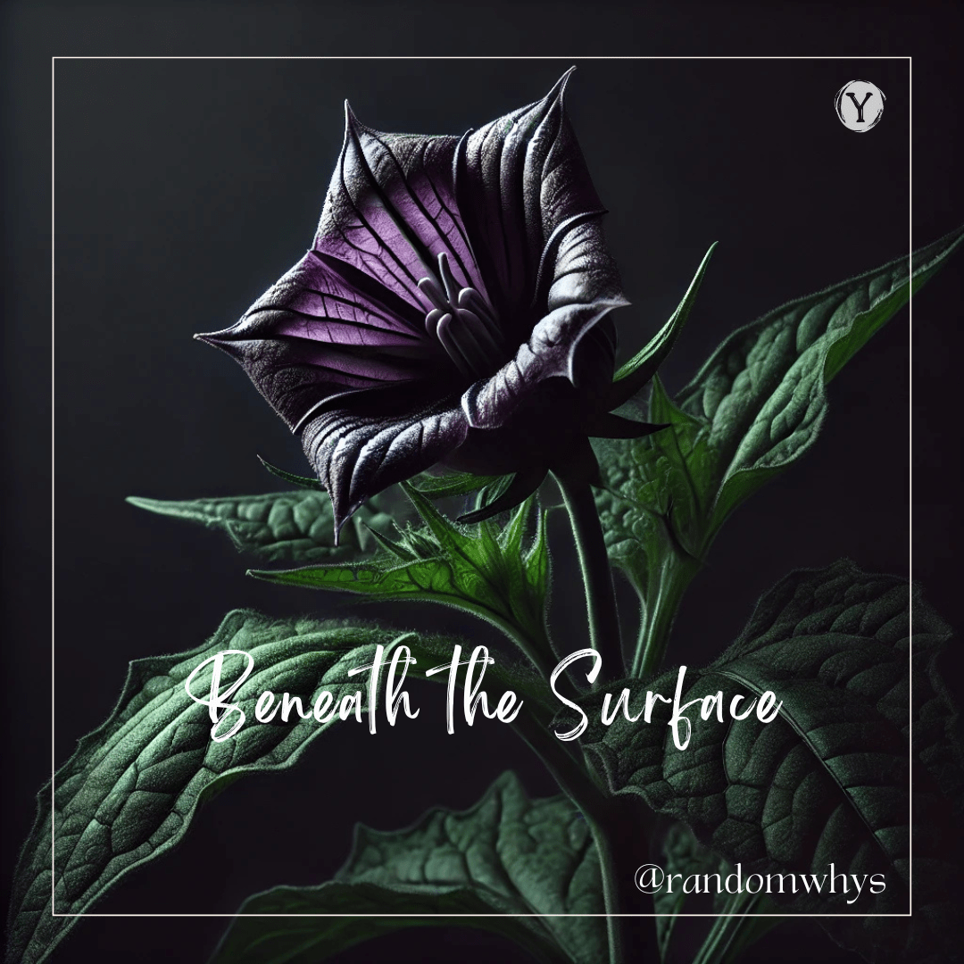 Beneath the Surface!