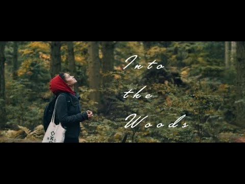 Into the Woods - Blackmagic Raw