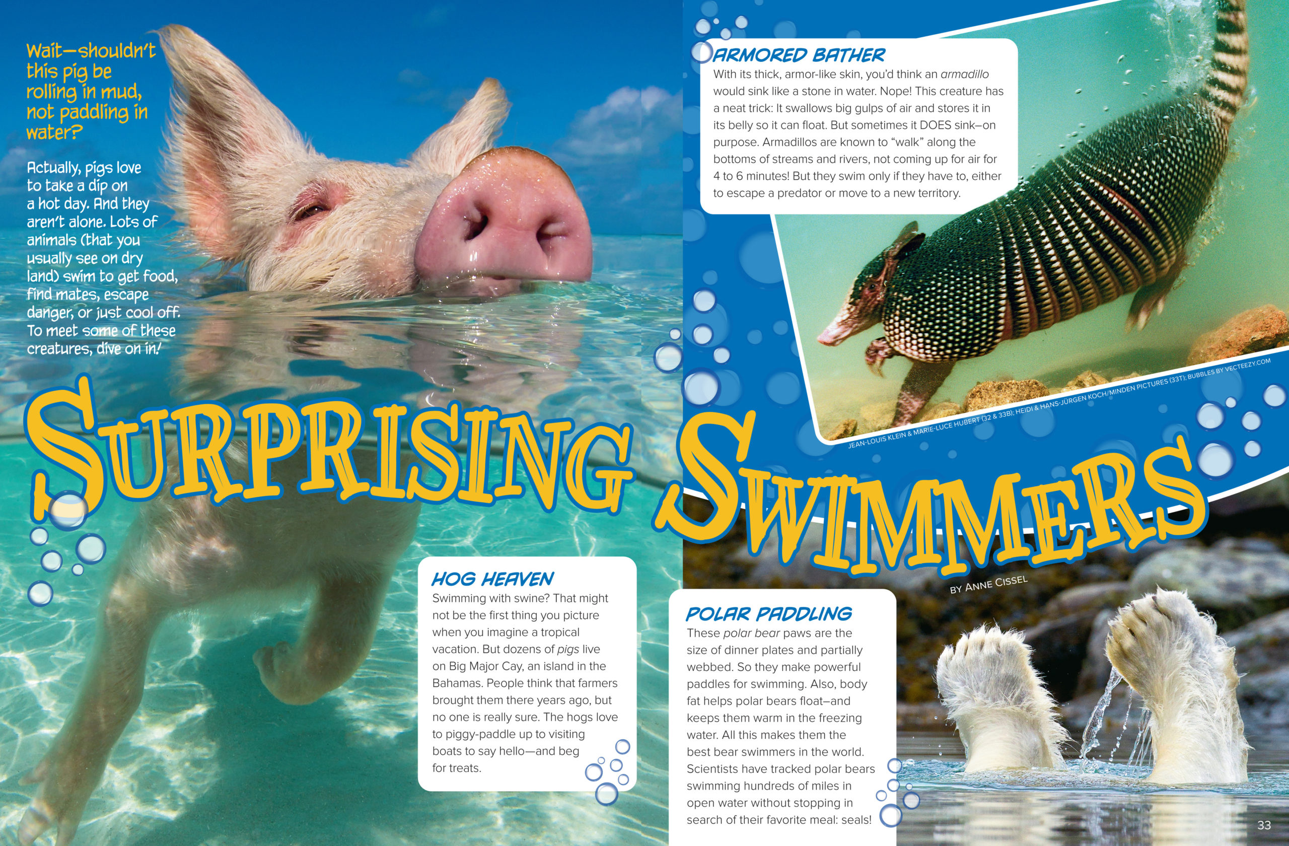Surprising Swimmers - NWF | Ranger Rick