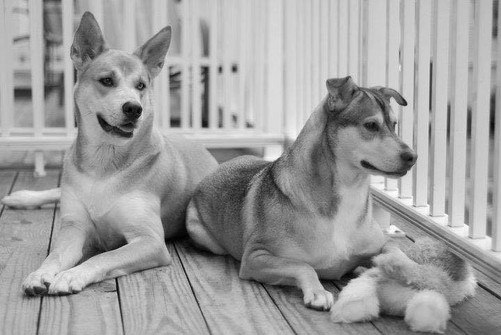 ranjay mitra photographer