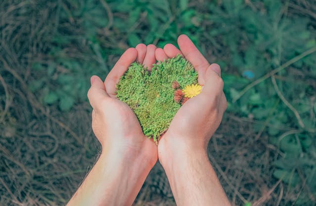 10 Key Elements to Make Sustainable Graphic Design